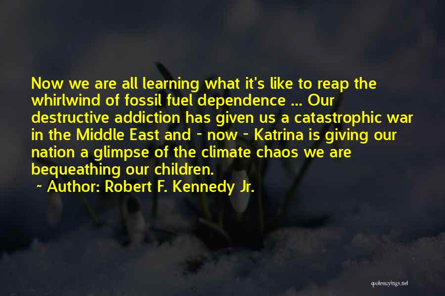 Robert F. Kennedy Jr. Quotes 911978