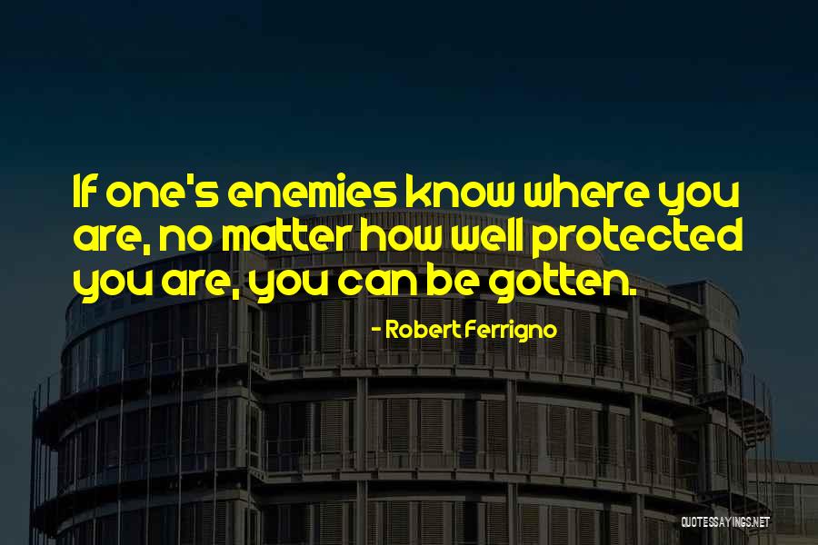 Robert Ferrigno Quotes 211031