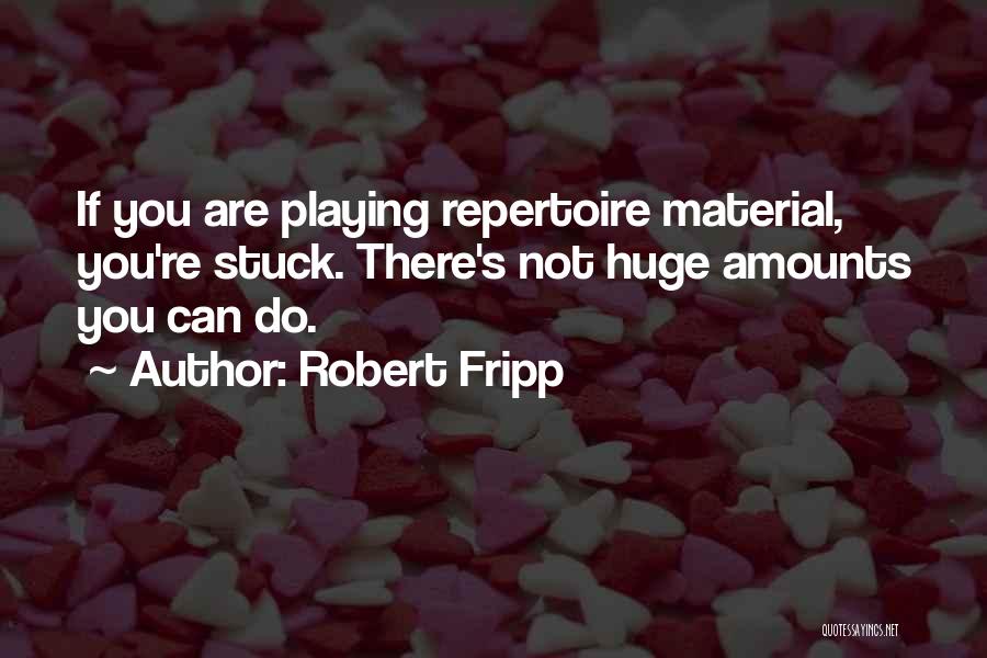 Robert Fripp Quotes 1687057