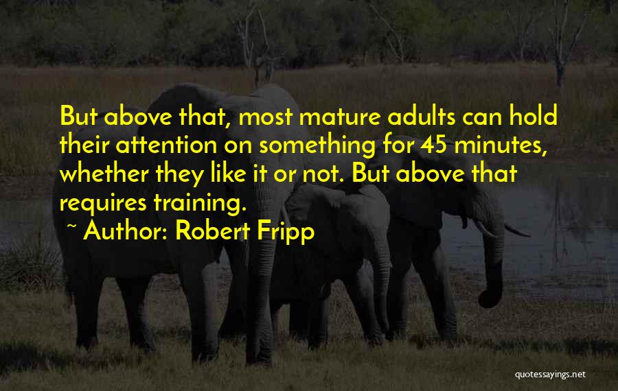 Robert Fripp Quotes 1809596