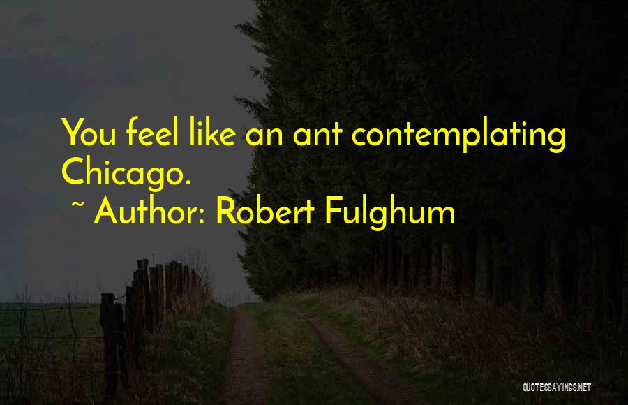 Robert Fulghum Quotes 1255736