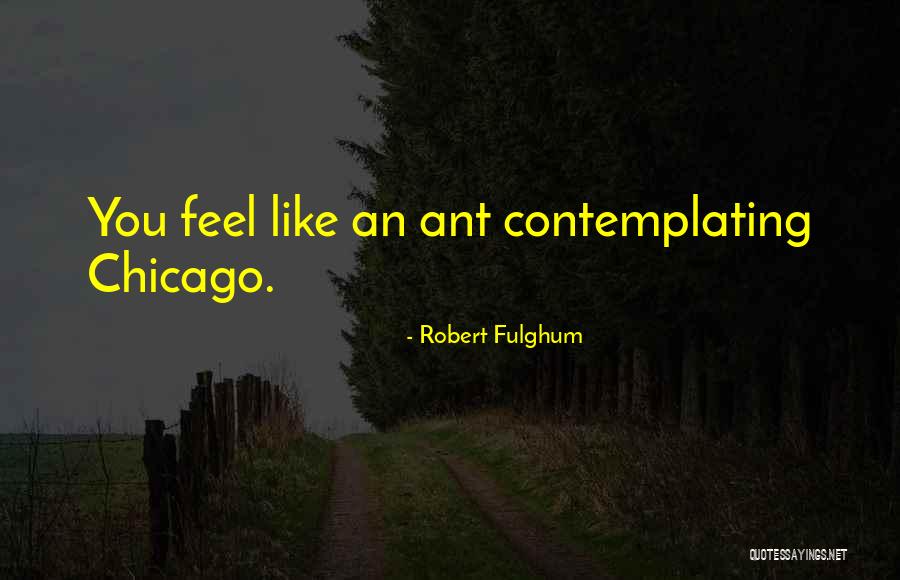 Robert Fulghum Quotes 1255736 Robert Fulghum Quotes 1255736