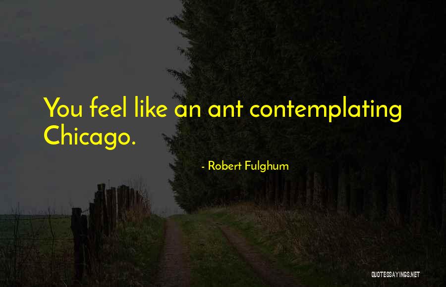 Robert Fulghum Quotes 1255736