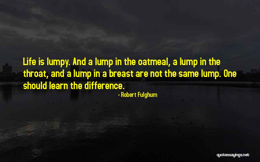 Robert Fulghum Quotes 142616