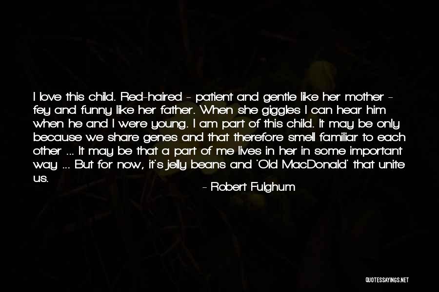 Robert Fulghum Quotes 293973 Robert Fulghum Quotes 293973