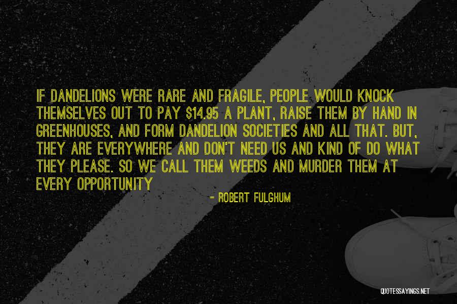 Robert Fulghum Quotes 499848