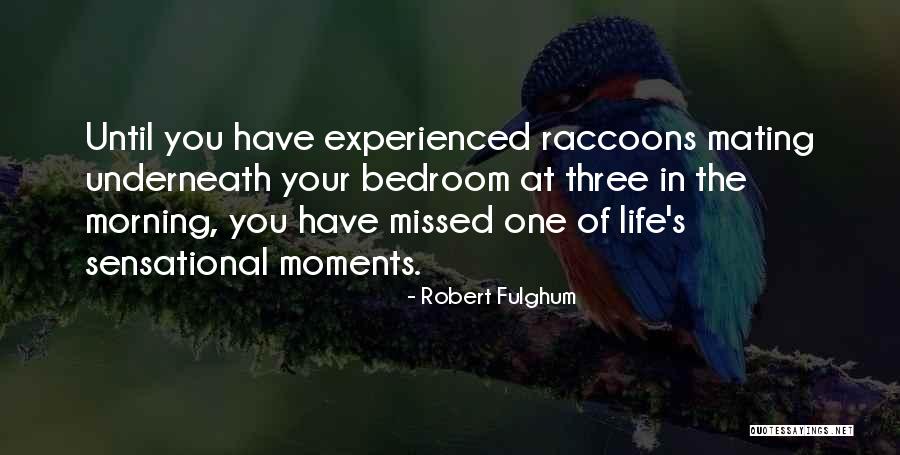 Robert Fulghum Quotes 953441 Robert Fulghum Quotes 953441