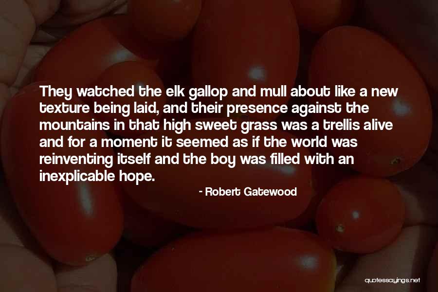 Robert Gatewood Quotes 922894 Robert Gatewood Quotes 922894