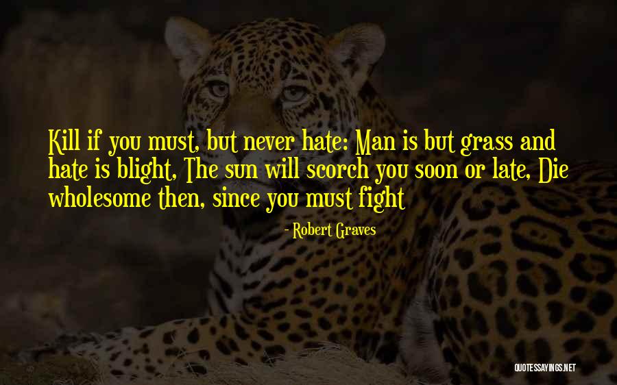 Robert Graves Quotes 1268854