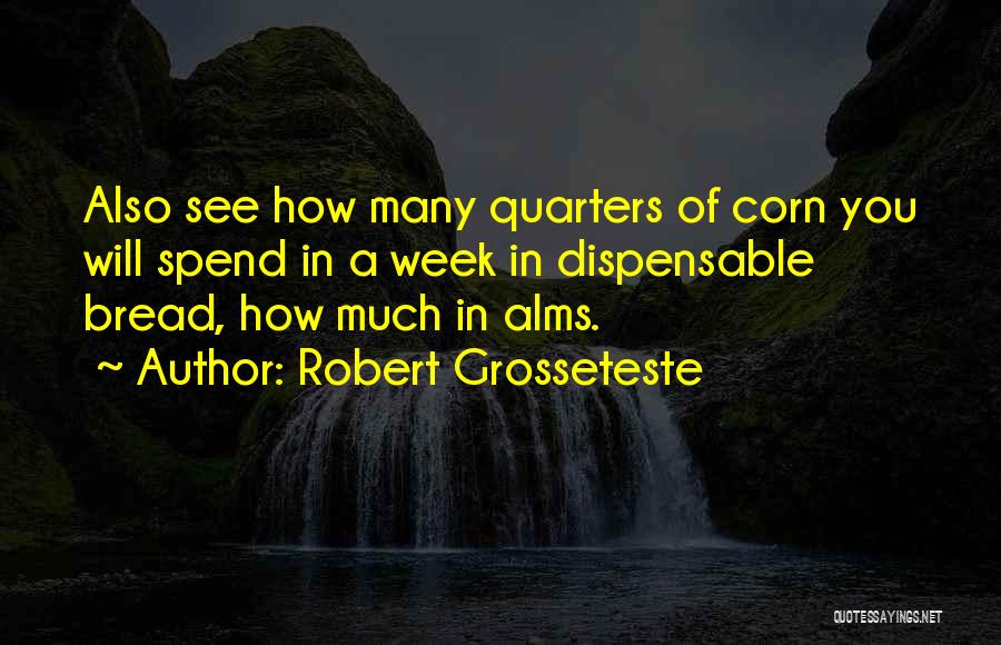 Robert Grosseteste Quotes 138465