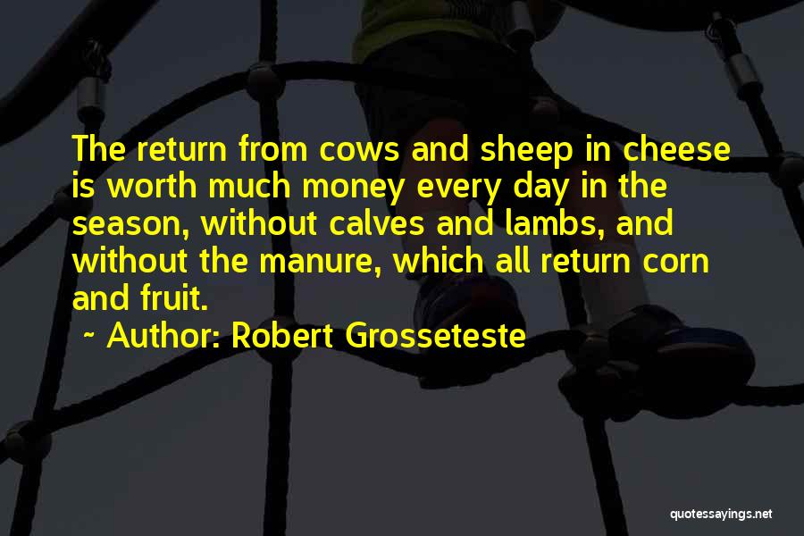 Robert Grosseteste Quotes 1595211