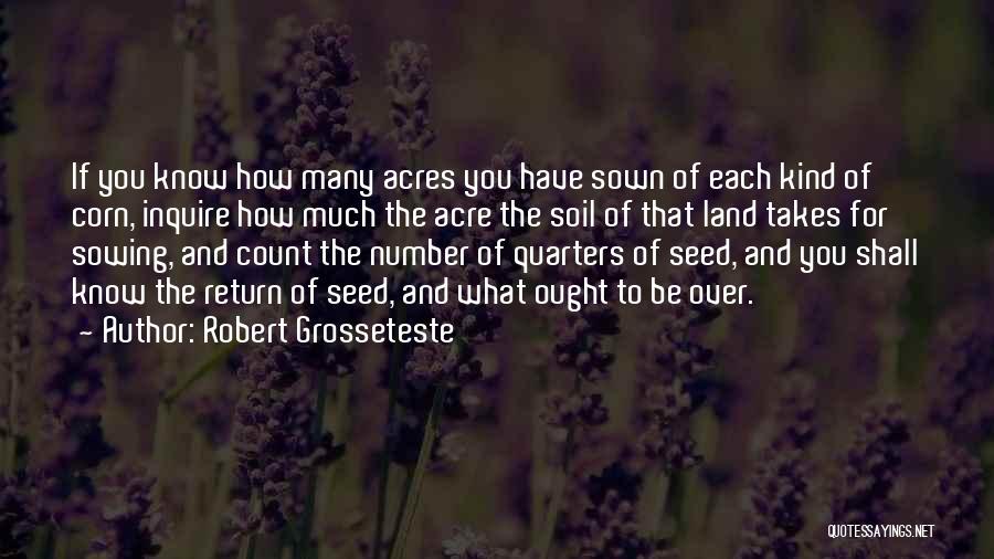 Robert Grosseteste Quotes 2128838