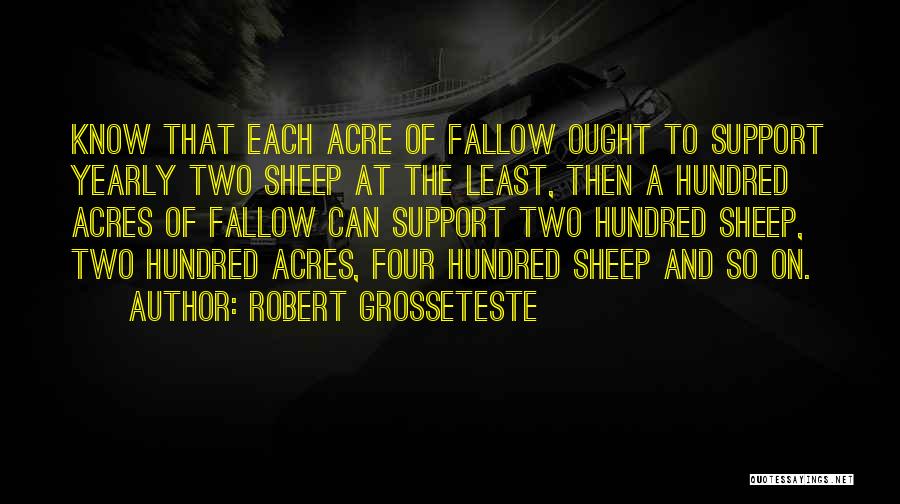 Robert Grosseteste Quotes 416569