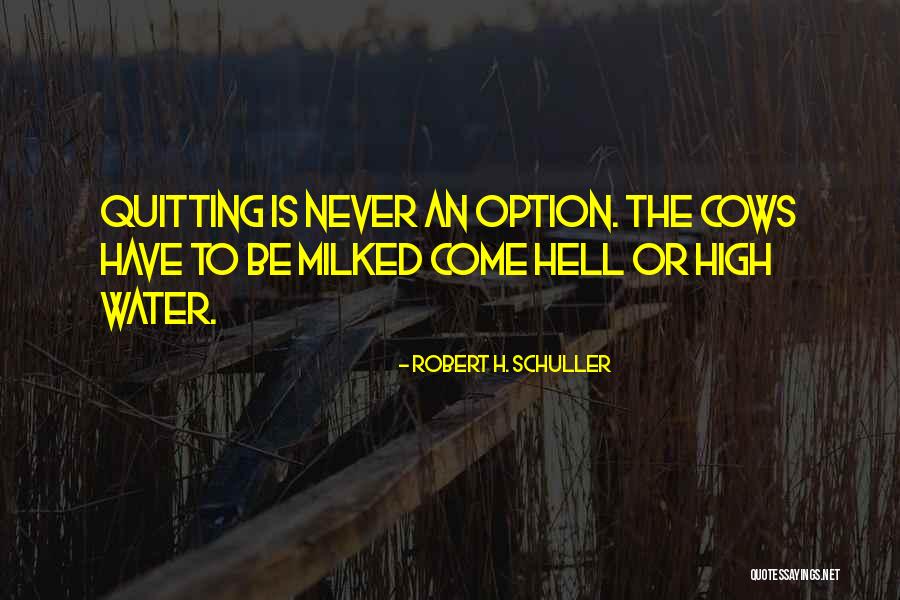 Robert H. Schuller Quotes 1535288