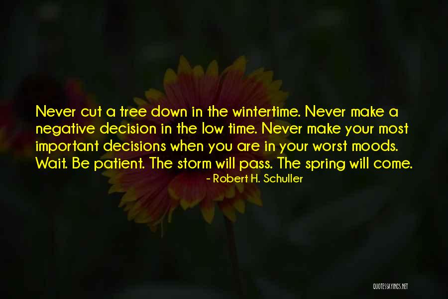 Robert H. Schuller Quotes 1911212