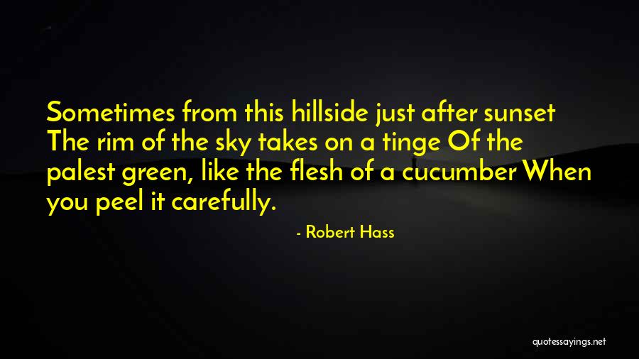 Robert Hass Quotes 776033