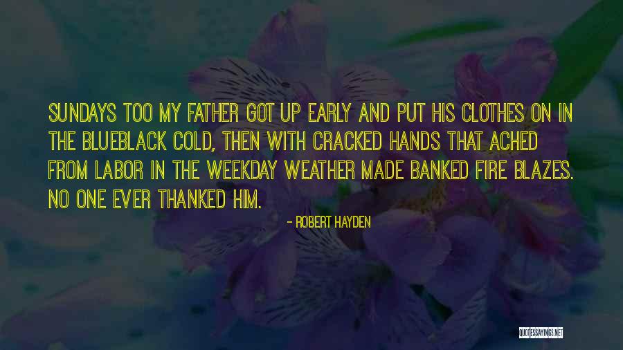 Robert Hayden Quotes 1440043