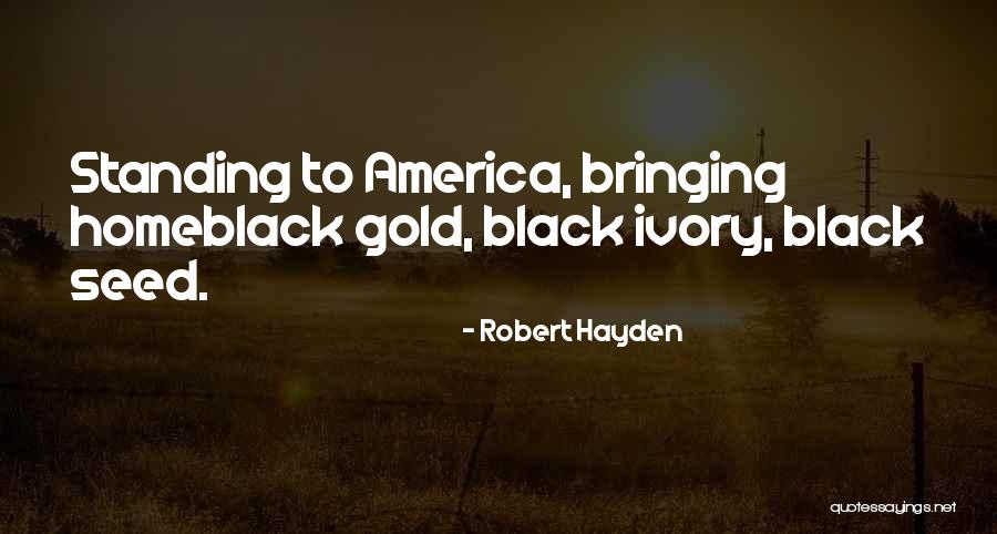 Robert Hayden Quotes 2192206