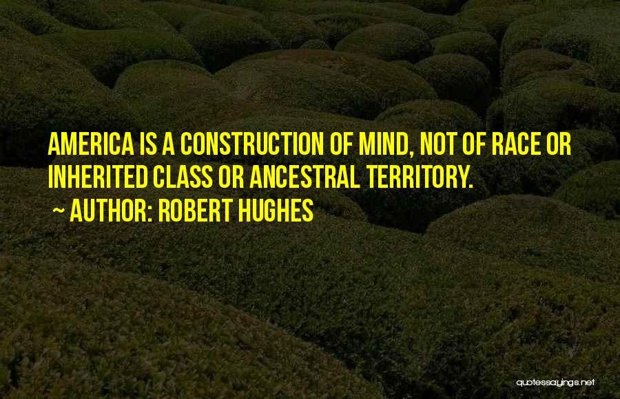 Robert Hughes Quotes 1471898