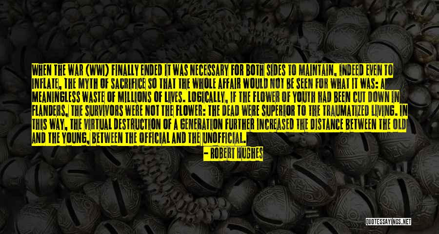 Robert Hughes Quotes 556968 Robert Hughes Quotes 556968