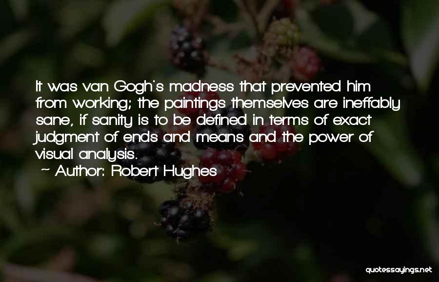 Robert Hughes Quotes 635229