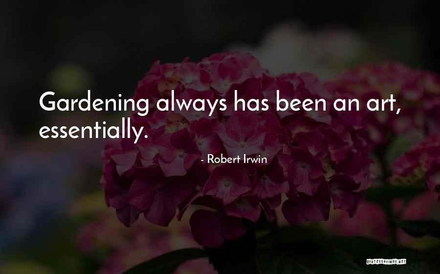 Robert Irwin Quotes 1008039 Robert Irwin Quotes 1008039