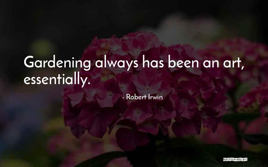 Robert Irwin Quotes 1008039