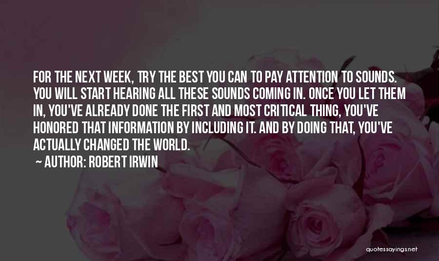 Robert Irwin Quotes 1042437