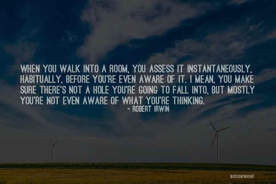 Robert Irwin Quotes 1066031 Robert Irwin Quotes 1066031