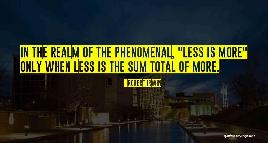 Robert Irwin Quotes 177794 Robert Irwin Quotes 177794