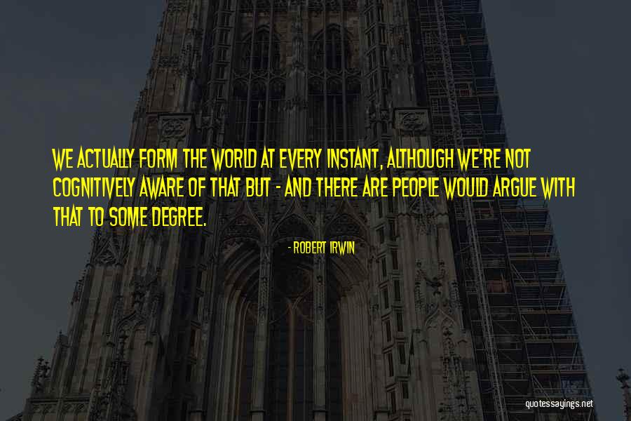 Robert Irwin Quotes 385168 Robert Irwin Quotes 385168
