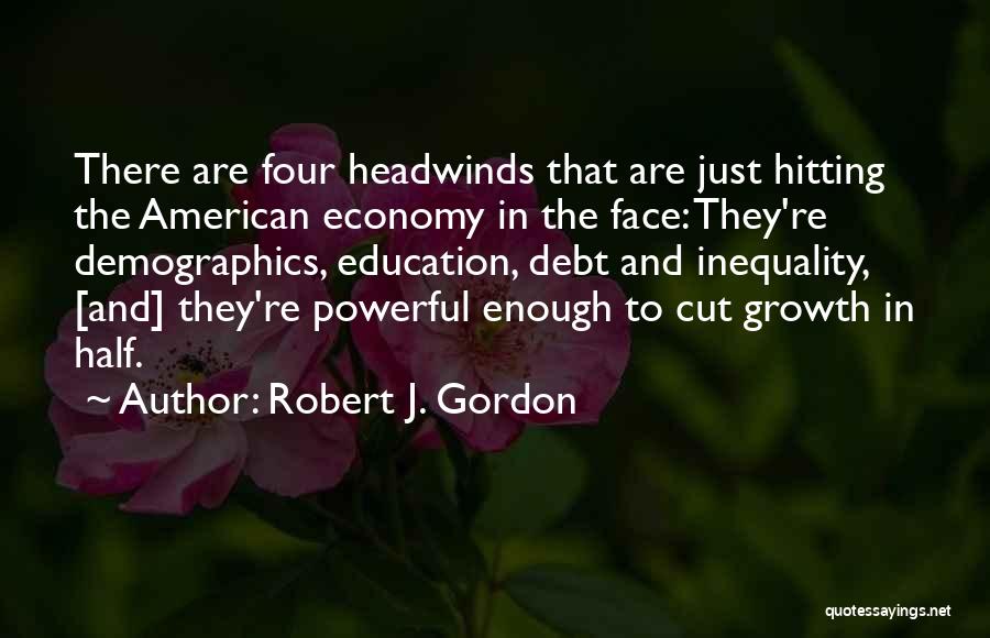 Robert J. Gordon Quotes 1679075