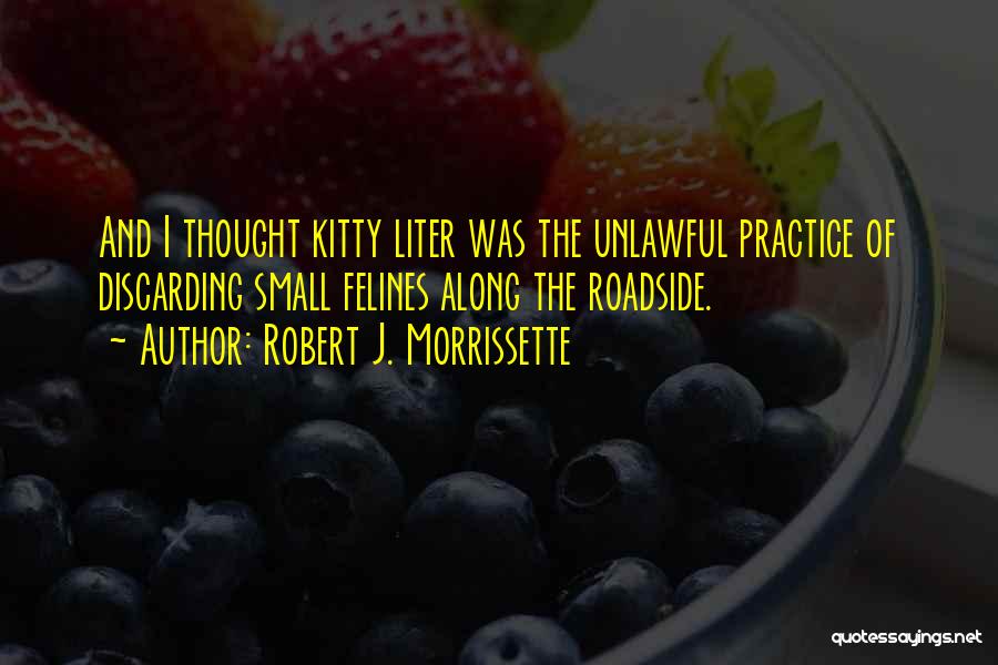 Robert J. Morrissette Quotes 1610907