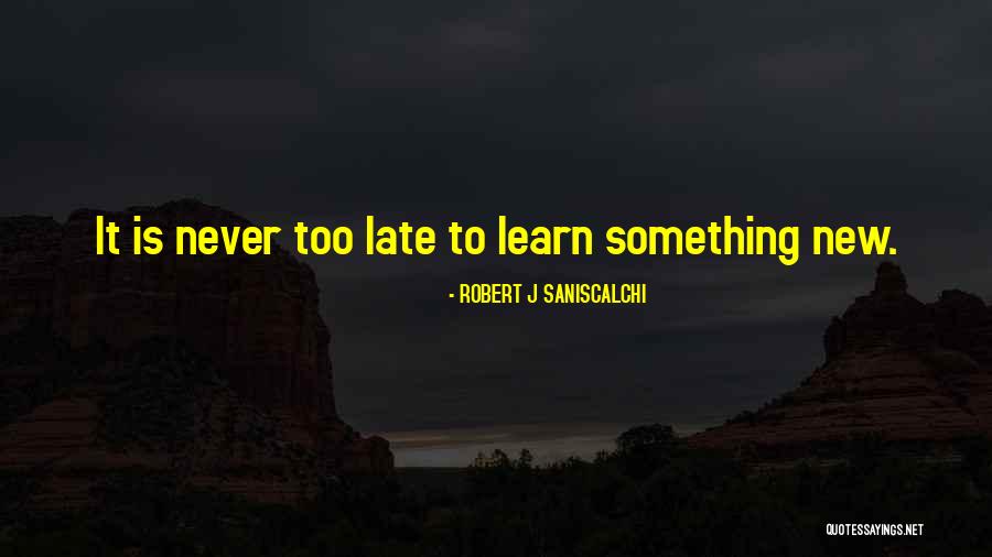 ROBERT J SANISCALCHI Quotes 1728392 ROBERT J SANISCALCHI Quotes 1728392