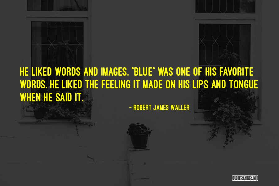 Robert James Waller Quotes 1193285