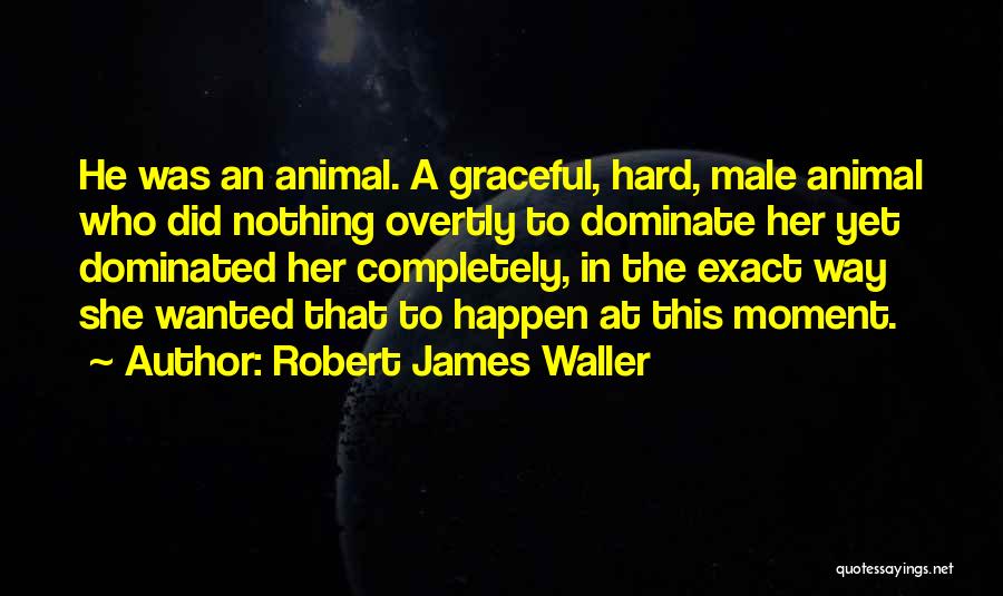 Robert James Waller Quotes 966191