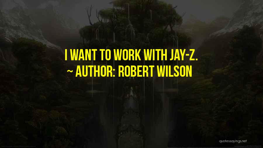 Robert Jay Quotes By Robert Wilson