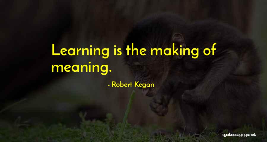 Robert Kegan Quotes 678604