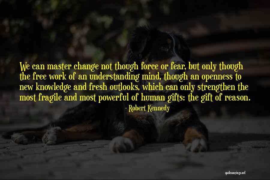 Robert Kennedy Quotes 1696771