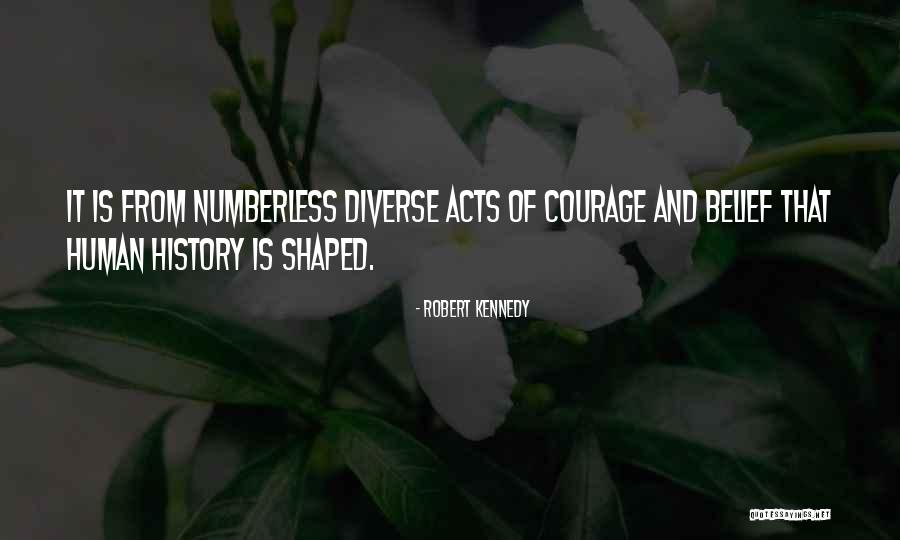 Robert Kennedy Quotes 450178