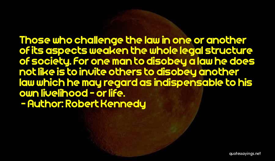 Robert Kennedy Quotes 843047