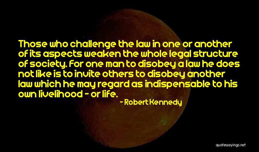 Robert Kennedy Quotes 843047