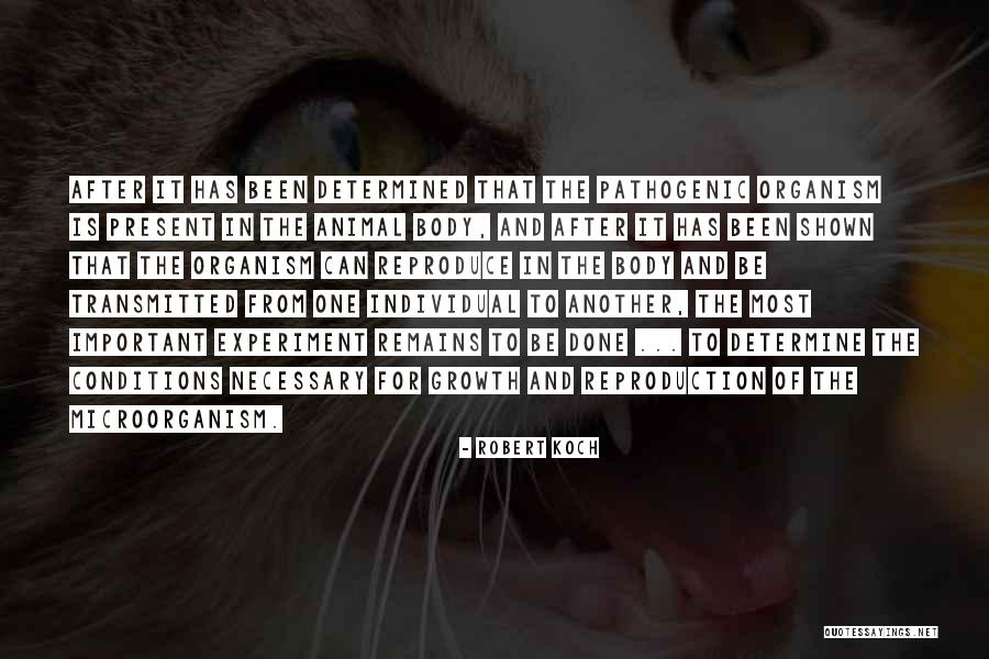 Robert Koch Quotes 967711 Robert Koch Quotes 967711