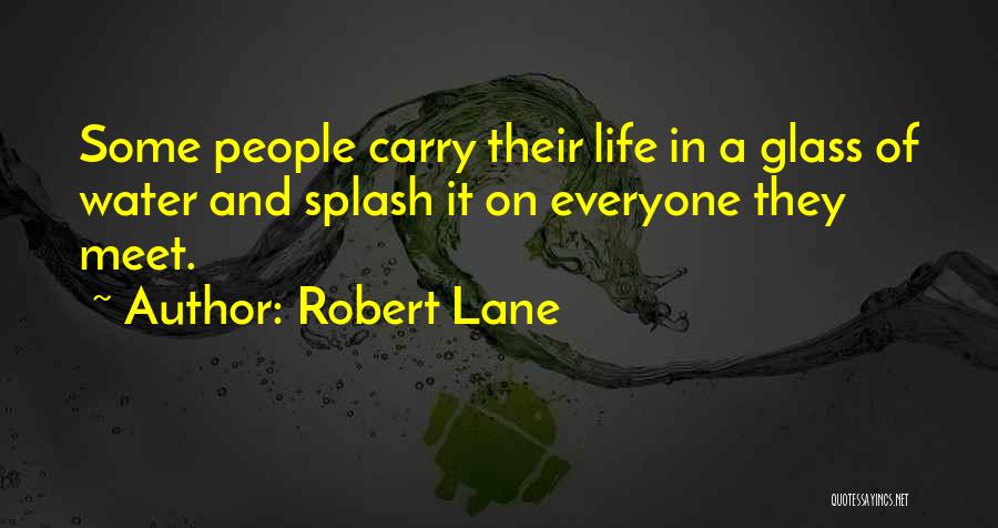 Robert Lane Quotes 638836