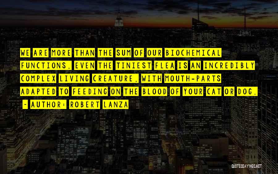 Robert Lanza Quotes 998916