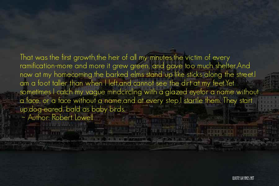 Robert Lowell Quotes 1273317