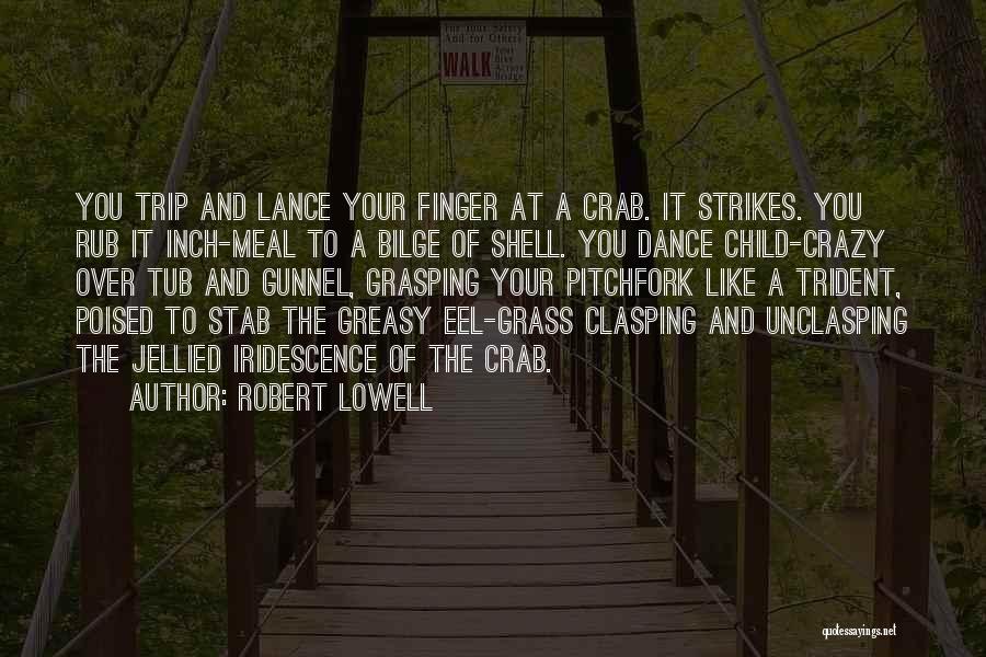 Robert Lowell Quotes 1398816