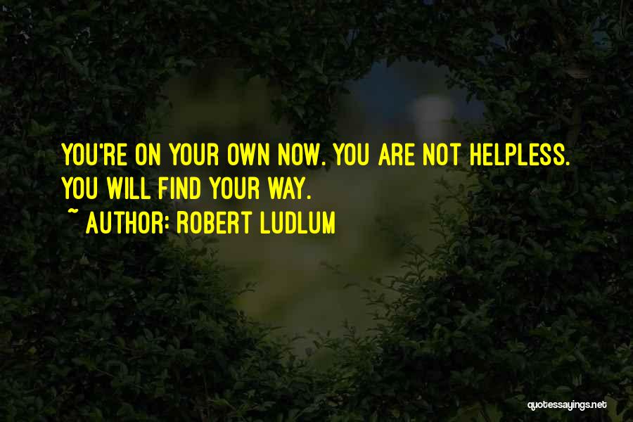 Robert Ludlum Quotes 1253571