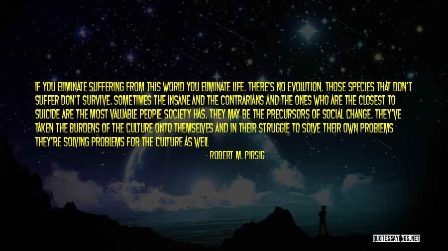 Robert M. Pirsig Quotes 1005565