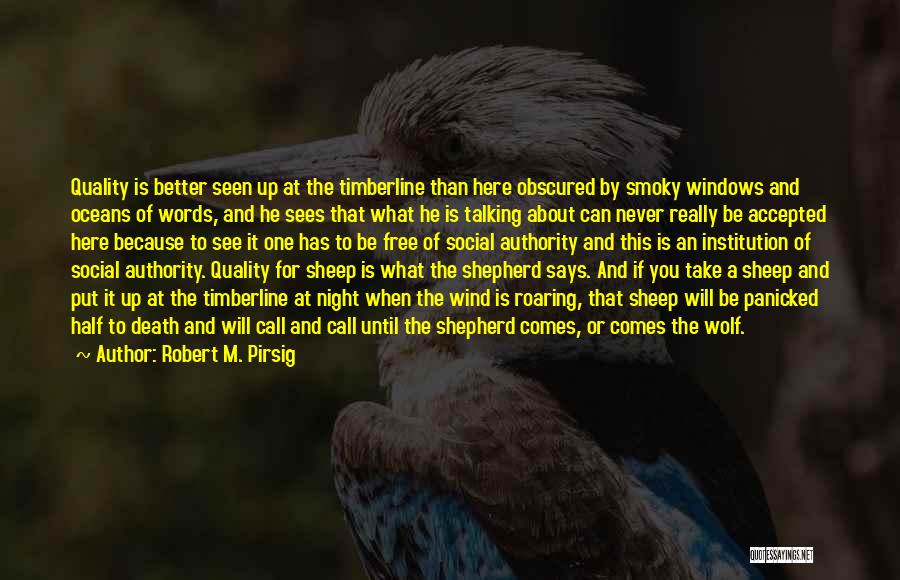 Robert M. Pirsig Quotes 1135745